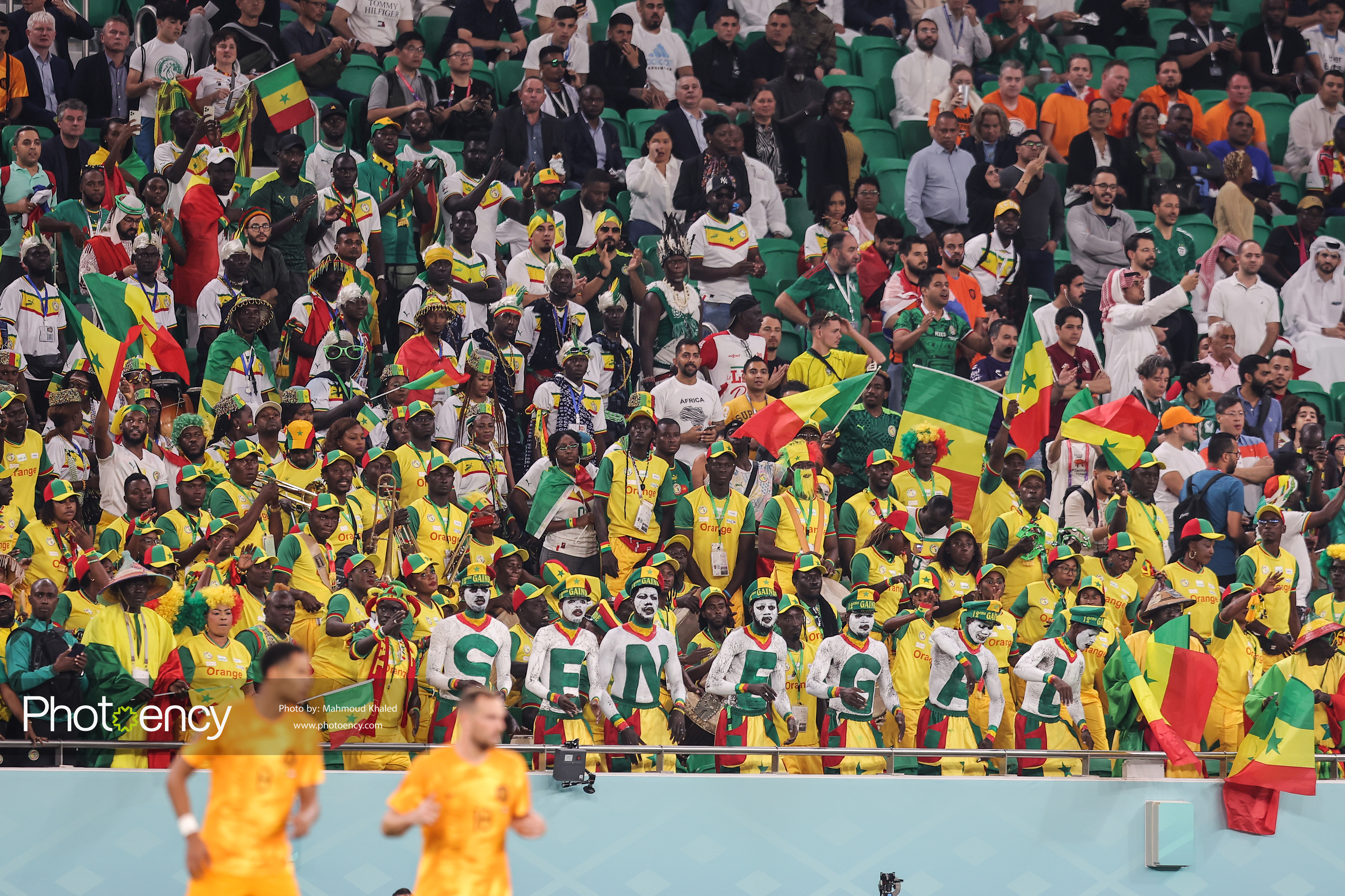 
Fifa World cup Qatar 2022 – Senegal vs Netherlands